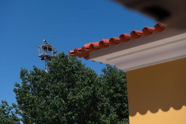 Maison d’hôte pour 2 personnes, avec piscine ainsi que jacuzzi et jardin à Aveiro - 4