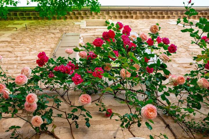 Maison d’hôte pour 2 personnes, avec jardin et vue à Saint-Rémy-de-Provence - 2