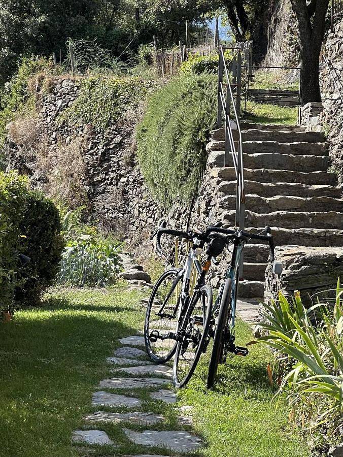 Location de vacances pour 2 personnes, avec terrasse à Valleraugue - 4