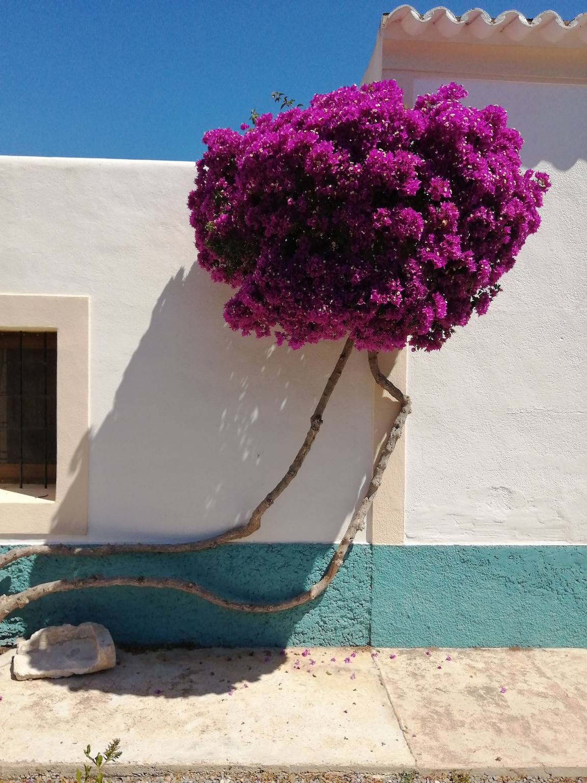 Casa rural típica junto a la playa con piscina desde marzo de 2026 in Port de Sant Miquel, San Juan Bautista