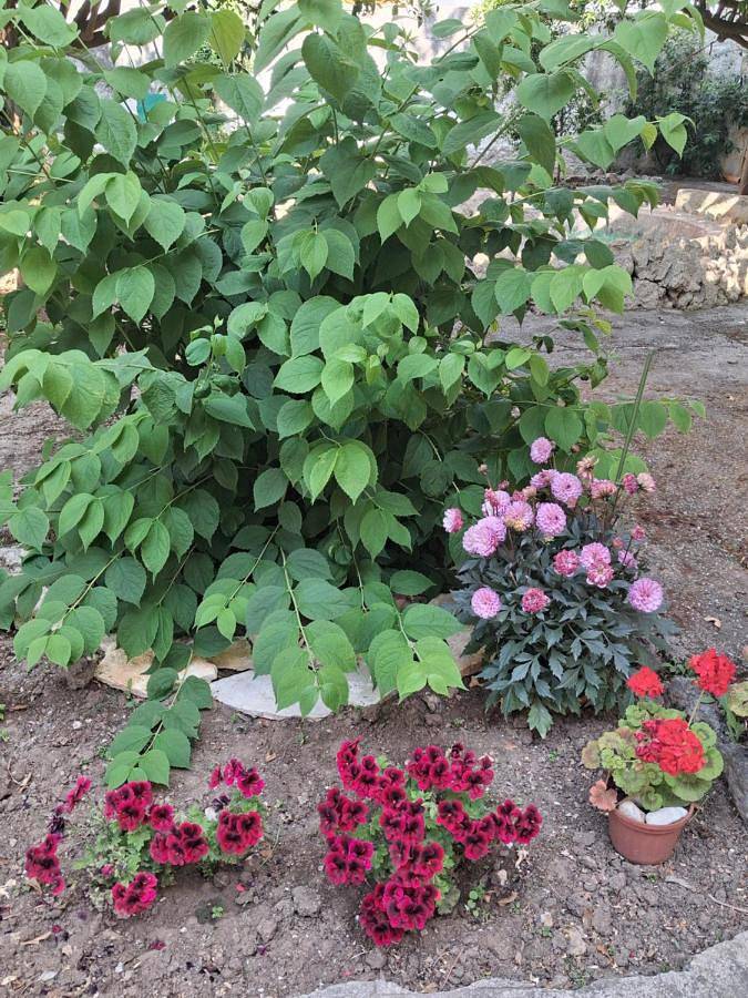La Rugiada-con giardino e parcheggio moto privato in Alcamo, Provincia di Trapani