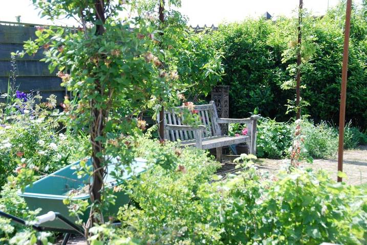 Chambre d’hôte pour 6 personnes, avec jardin et vue à Amsterdam - 3