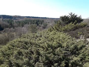 Ferienhaus für 6 Personen in Silkeborg, Bild 1