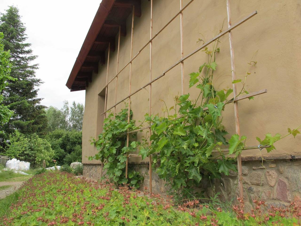 Lehmkloster - Einzelzimmer Augustina in Ganzlin, Ludwigslust-Parchim