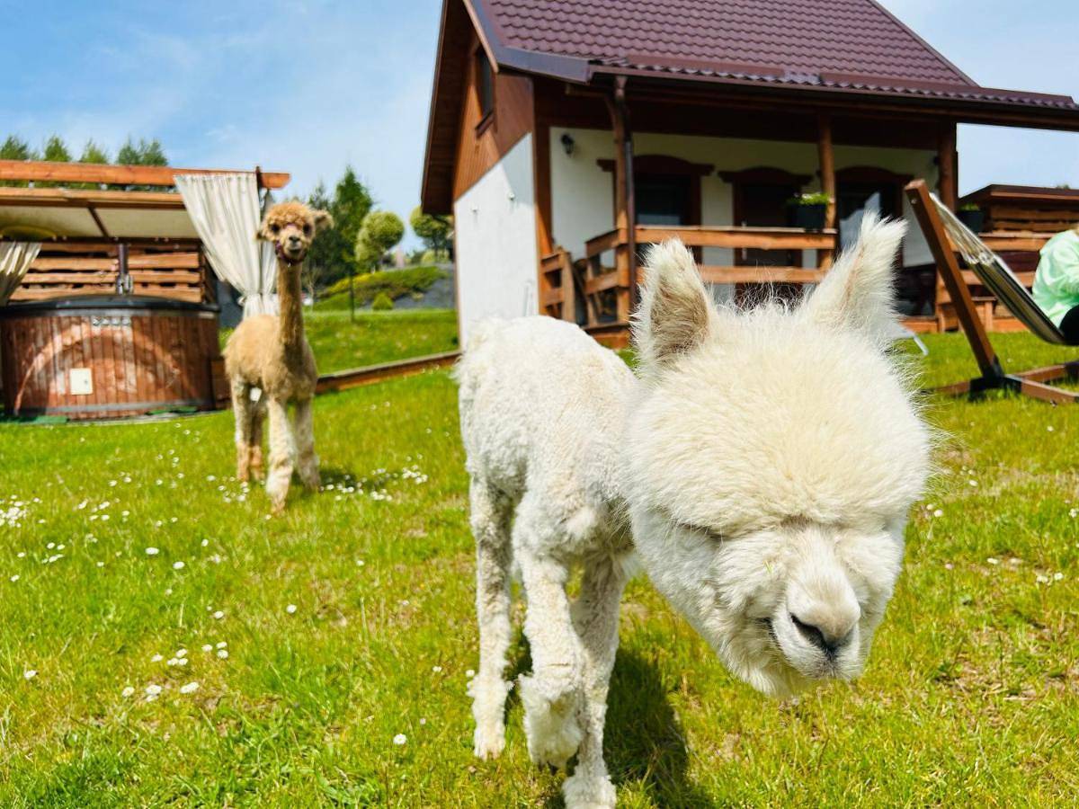 Domki Eden z Balią i sauną in Stężyca, Powiat de Kartuzy
