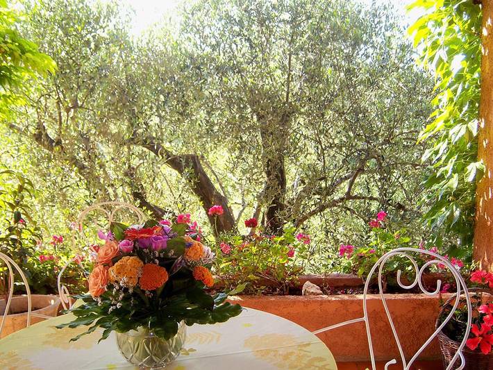 Chambre d’hôte pour 2 personnes, avec jardin dans les Alpes maritimes - 3