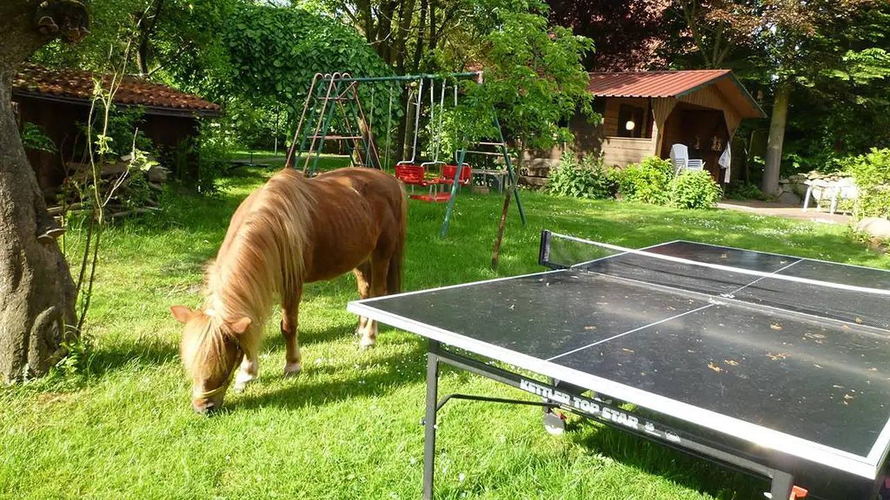 Ganze Ferienwohnung, Ferienwohnung für 3 Personen (43 m²) in Walsrode in Walsrode, Aller-Leine-Tal