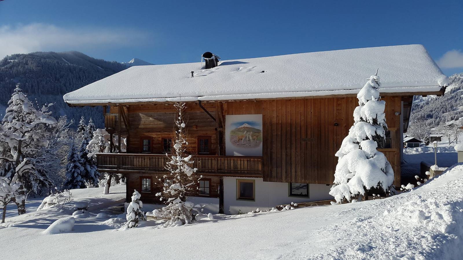 Ganze Ferienwohnung, Appartement mit 4 Schlafzimmer in Hopfgarten im Brixental, Kaisergebirge