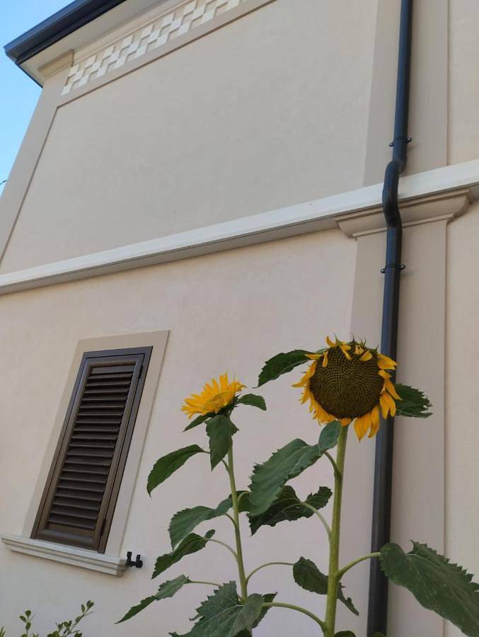 Maison d’hôte pour 2 personnes, avec vue à Tropea - 4