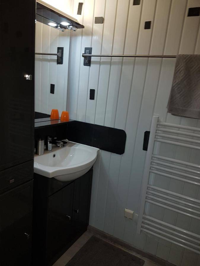 Location de vacances pour 4 personnes, avec jardin et vue, animaux acceptés à La Gacilly - 4