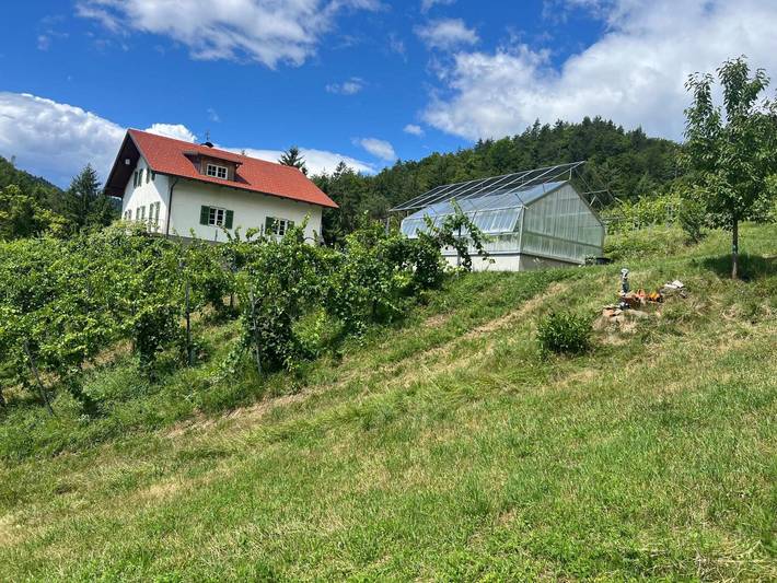 Ganze Wohnung, Apartment Weingut Kleinmonte mit Bergblick in Leutschach an der Weinstraße, Steirerland