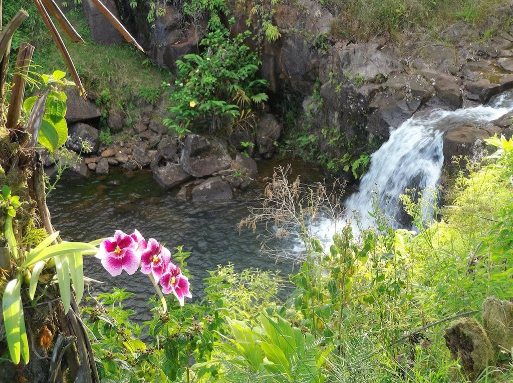 Himmlischer bezaubernder Wasserfall in Hilo in Hamakua