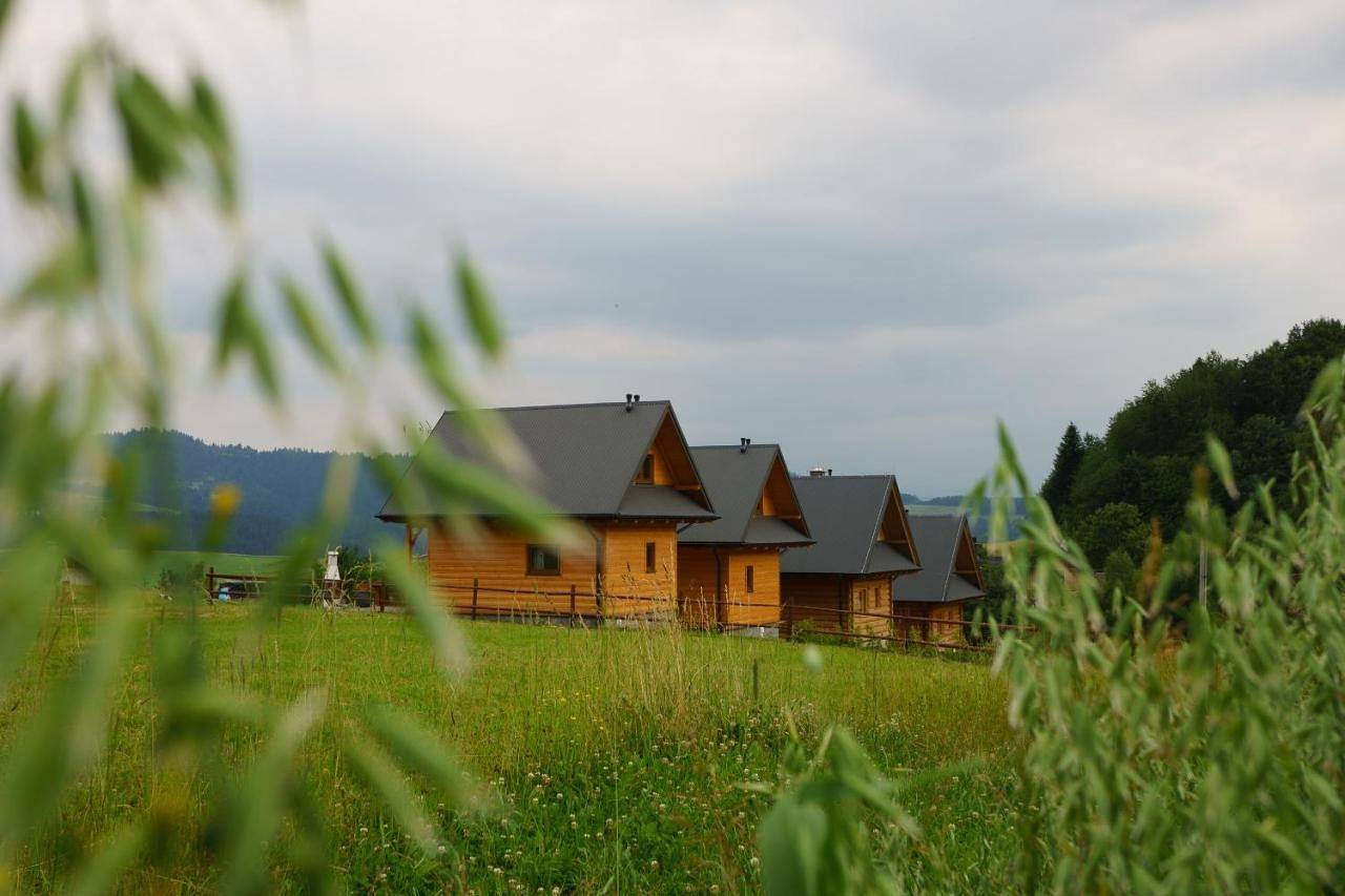 Domki u Huberta in Grywałd, Karpaty (Polska)