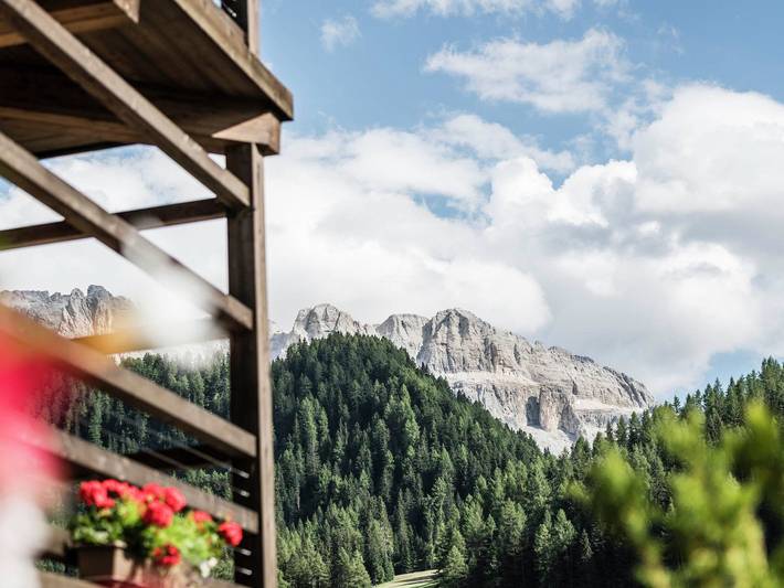Ferienwohnung für 2 Personen, mit Ausblick und Garten, mit Haustier in Wolkenstein - 3