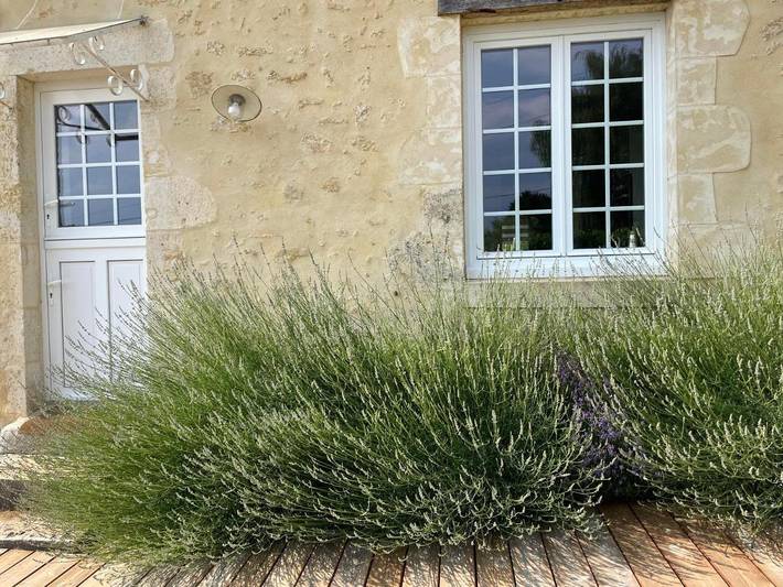 Location de vacances pour 6 personnes, avec terrasse, animaux acceptés à Saint-Martin-du-Vieux-Bellême - 2