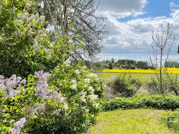 Vakantiehuis voor 4 Personen in Mälarmeer, Uppsala, Afbeelding 4