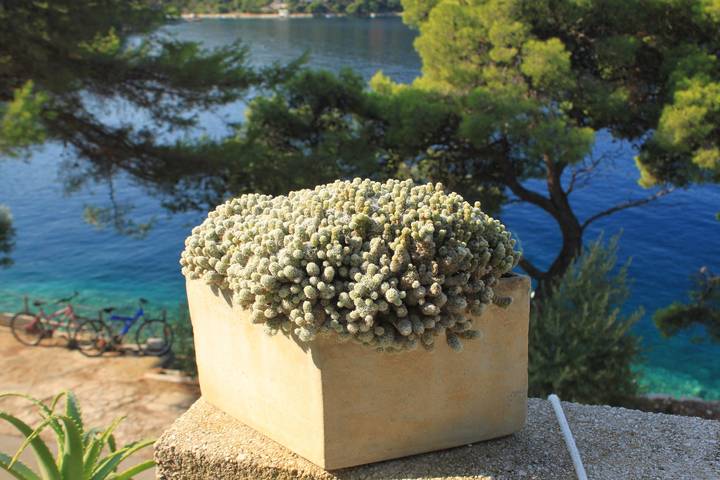 Gîte pour 5 personnes, avec balcon/terrasse dans Lastovo - 3