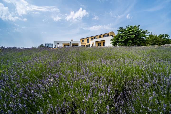 Villa Arkaim with Private Pool in Marčana, Südküste Istrien
