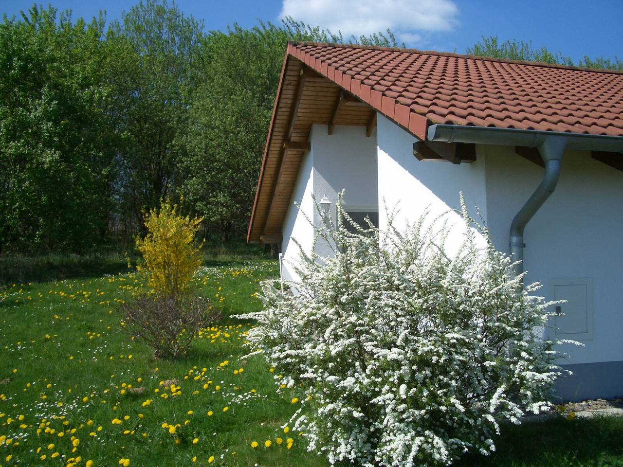 Ferienhaus mit privater Terrasse, Garten und Wlan in Uslar, Weserbergland