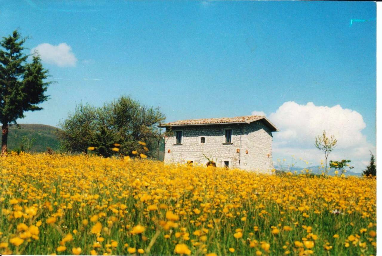 Villa in Forlì del Sannio, Alto Molise
