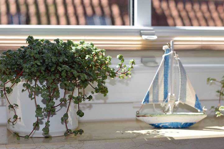 Ferienwohnung für 2 Personen, mit Terrasse und Garten in Grube - 2