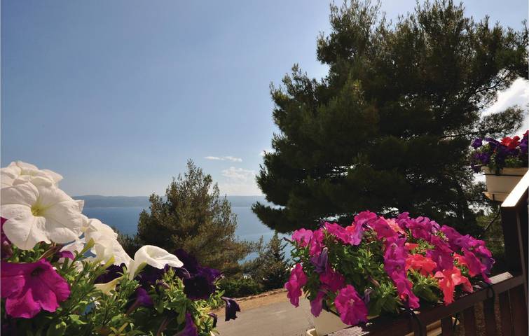 Ferienwohnung für 4 Personen, mit Terrasse in Pisak - 4