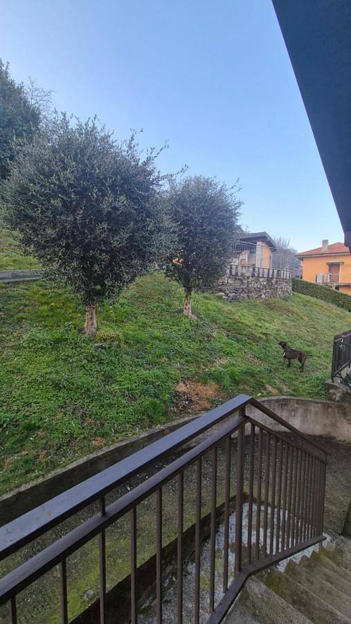 Gîte pour 4 personnes, avec jardin ainsi que vue sur le lac et vue, animaux acceptés dans Massino Visconti - 4