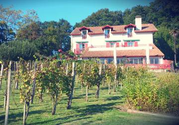 Gîte pour 2 personnes, avec vue ainsi que jardin et terrasse à Saint-Pée-sur-Nivelle