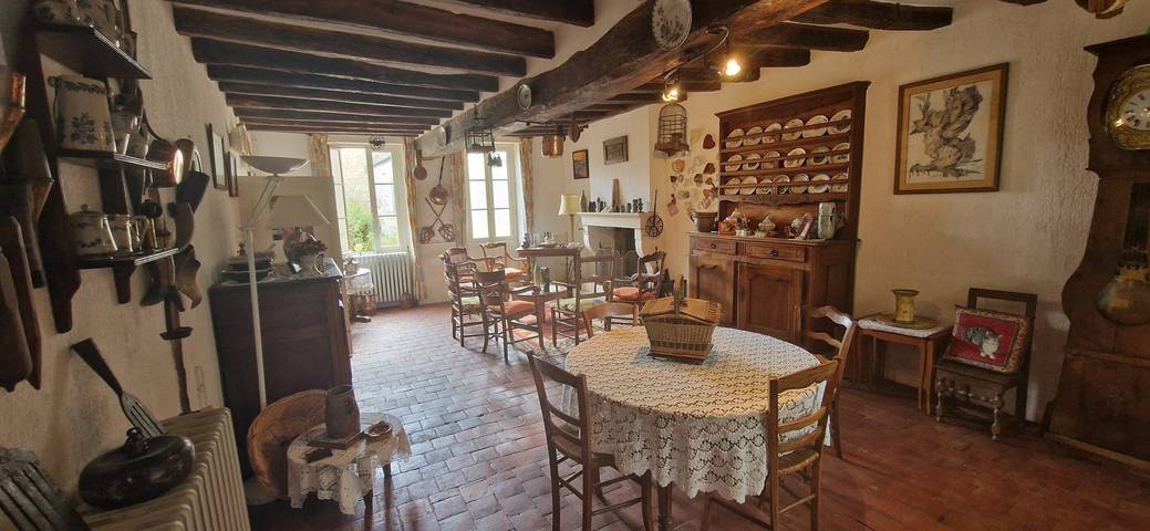 Gîte pour 11 personnes, avec jardin et terrasse, animaux acceptés dans Yonne - 4