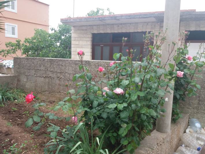 Gîte pour 6 personnes, avec balcon/terrasse, animaux acceptés dans Hvar - 3
