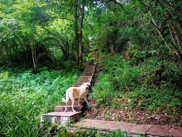 Gîte pour 2 personnes, avec vue et terrasse, animaux acceptés dans Novales - 2