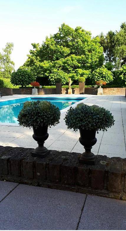 Gîte pour 2 personnes, avec piscine et jardin à Hamont-Achel - 3