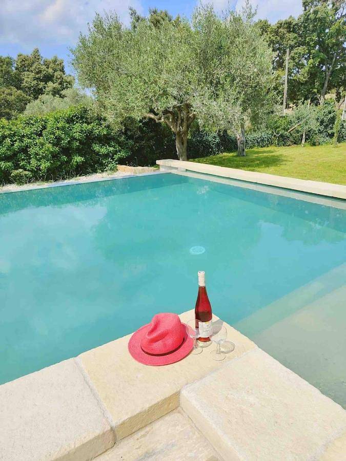 Location de vacances pour 12 personnes, avec jardin et piscine à Saint-Hilaire-d'Ozilhan - 4