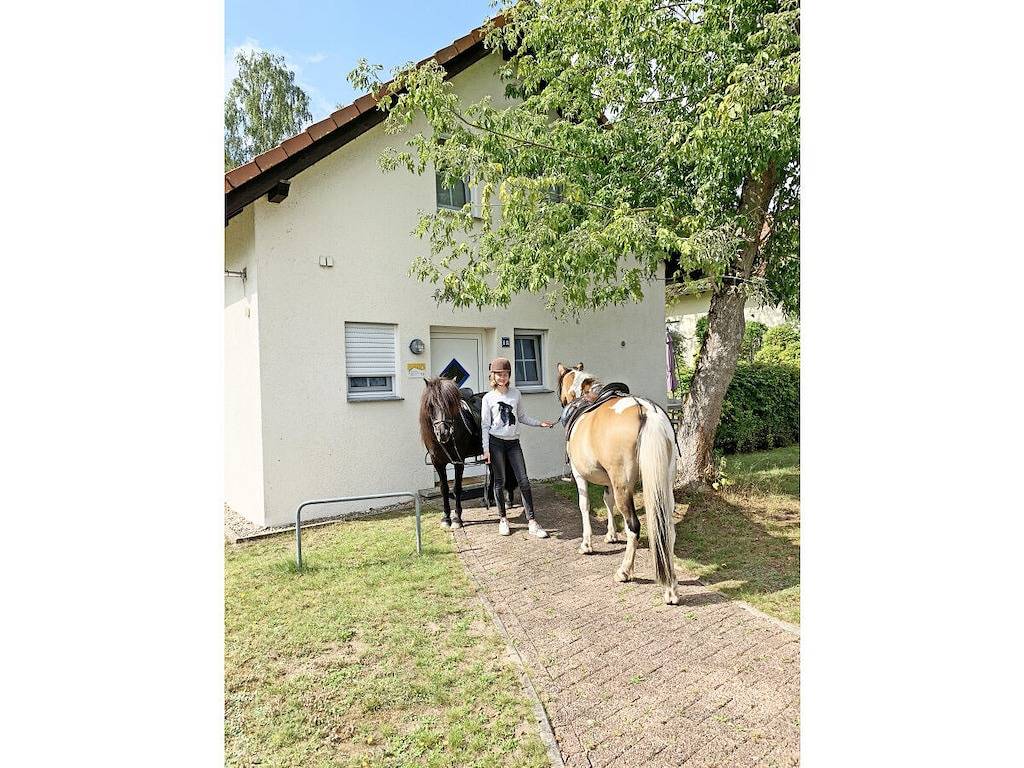 Urlaub mit Hund am Plauer See in Fünfseen, Plauer See