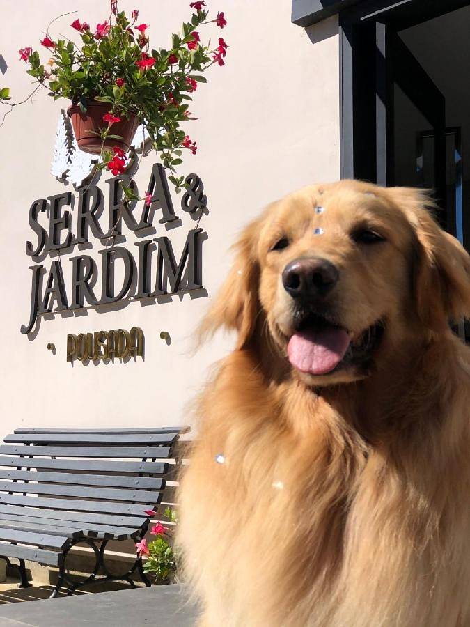 Casas e apartamentos de temporada para 3 pessoas, com jardim em Bom Jardim da Serra