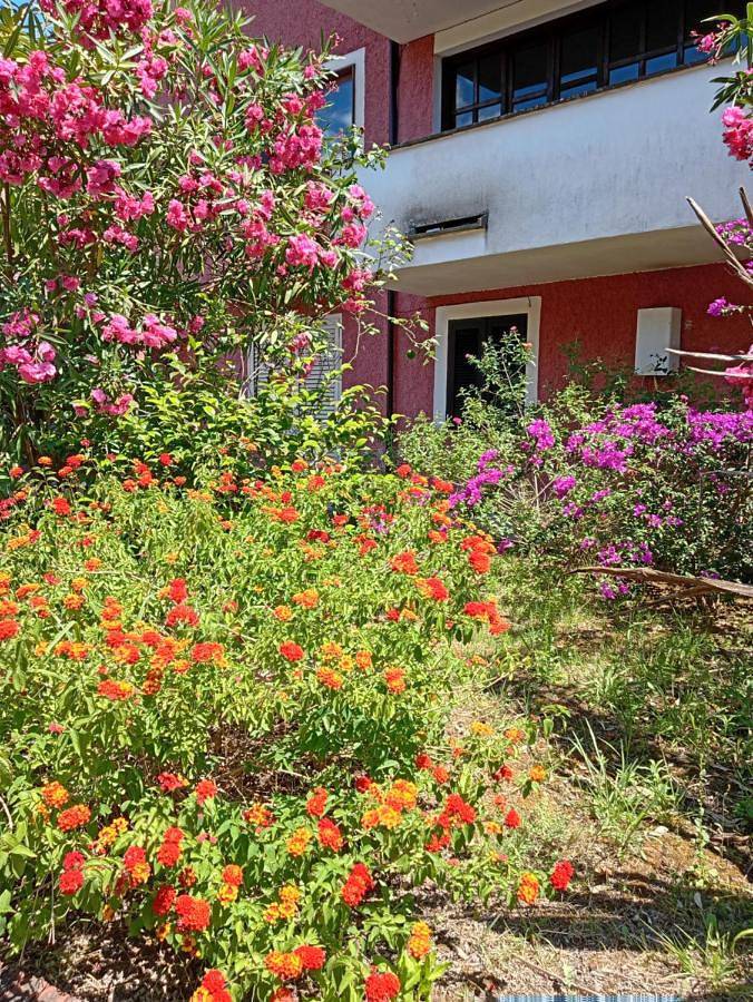 Gîte pour 2 personnes, avec vue et jardin ainsi que terrasse et piscine, animaux acceptés à Santa Marina - 2