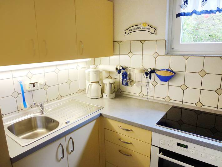 Gîte pour 2 personnes, avec terrasse et jardin, animaux acceptés à Triberg - 4