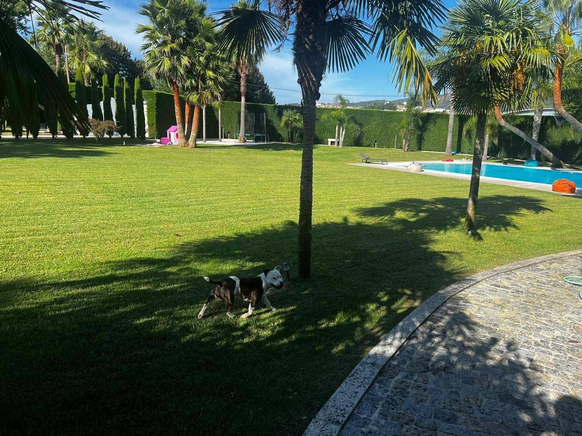 Two-Bedroom Villa in Valpedre, Penafiel