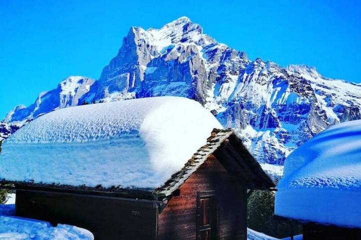 Ganze Wohnung, Concierge, Thunersee/Alpenpanorama von SwissHut in Därligen, Thunersee