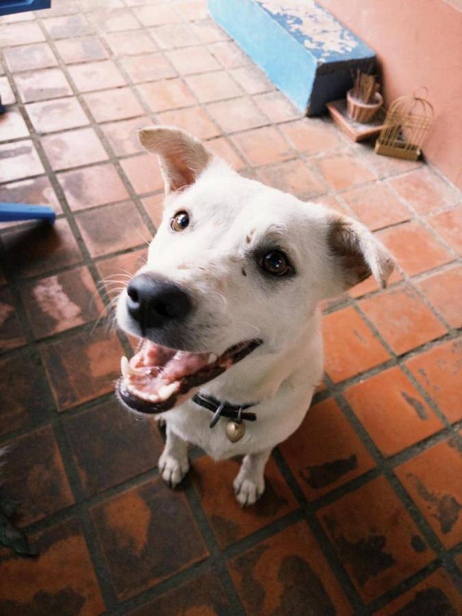 Gîte pour 2 personnes, avec jardin et vue à Pai - 2