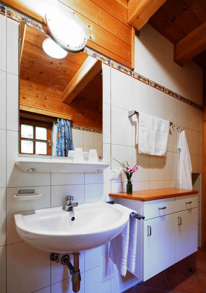 Parc de vacances pour 8 personnes, avec sauna et piscine ainsi que terrasse et jardin, animaux acceptés à Schlierbach - 2