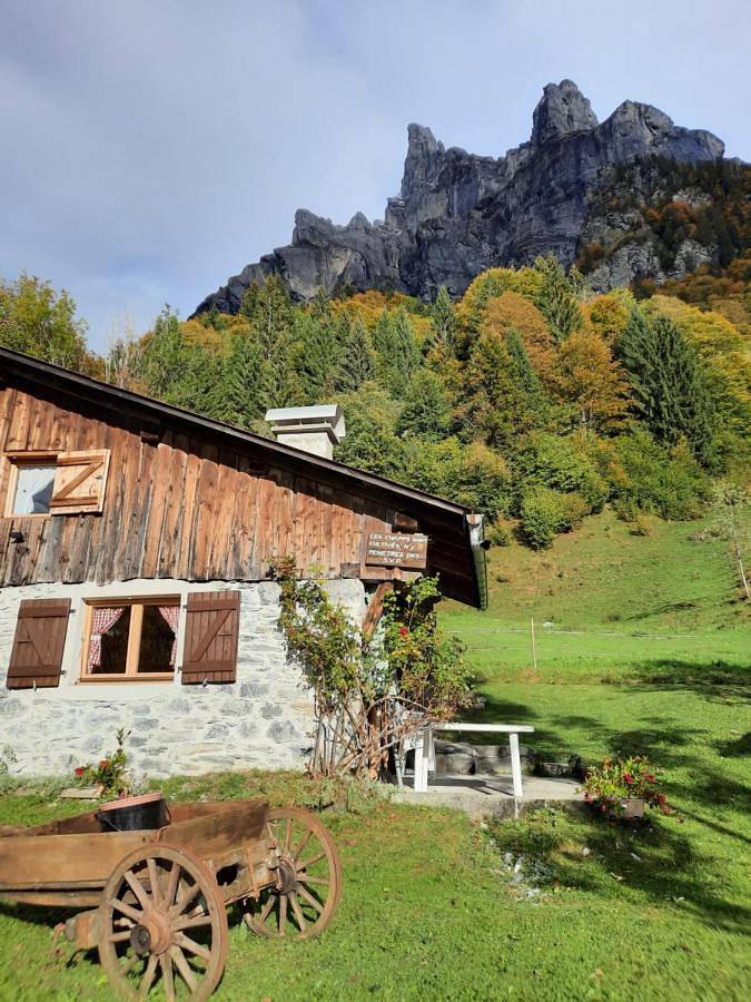 Gîte pour 6 personnes, avec jardin et vue à Sixt-Fer-à-Cheval - 3
