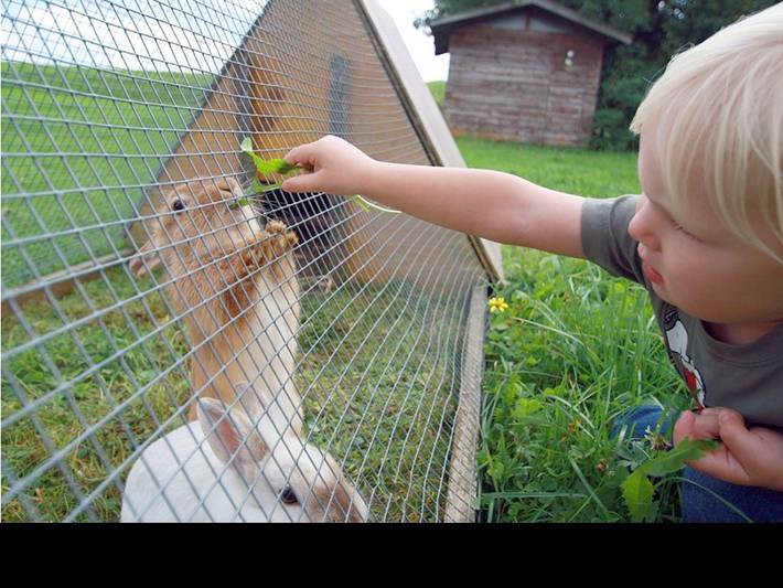 Bauernhof für 8 Personen, mit Pool und Sauna sowie Garten in Schwaben - 3