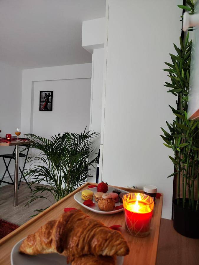 Gîte pour 2 personnes, avec jacuzzi et jardin à Mulhouse - 3