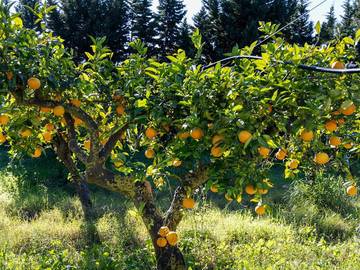 Glamping per 2 Persone in Marausa, Provincia di Trapani, Foto 2