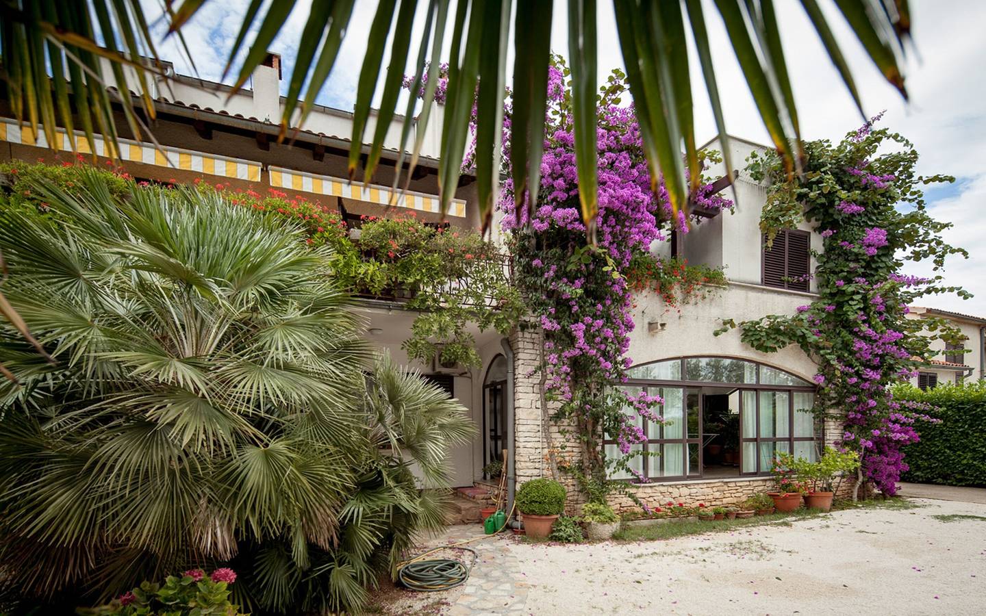 Entire apartment, Apartments Natasa in Rovinj, Rovinj region