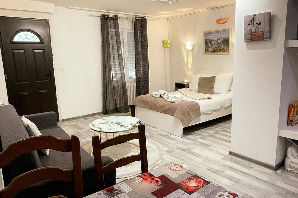 Ganze Wohnung, Studio in Amboise für 2 Pers, Burgblick in Amboise, Tours und Umgebung