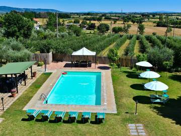 Agriturismo voor 20 Personen in Cortona, Provincie Arezzo, Afbeelding 2