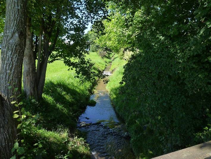 Hütte für 4 Personen, mit Garten, mit Haustier am Chiemsee - 4