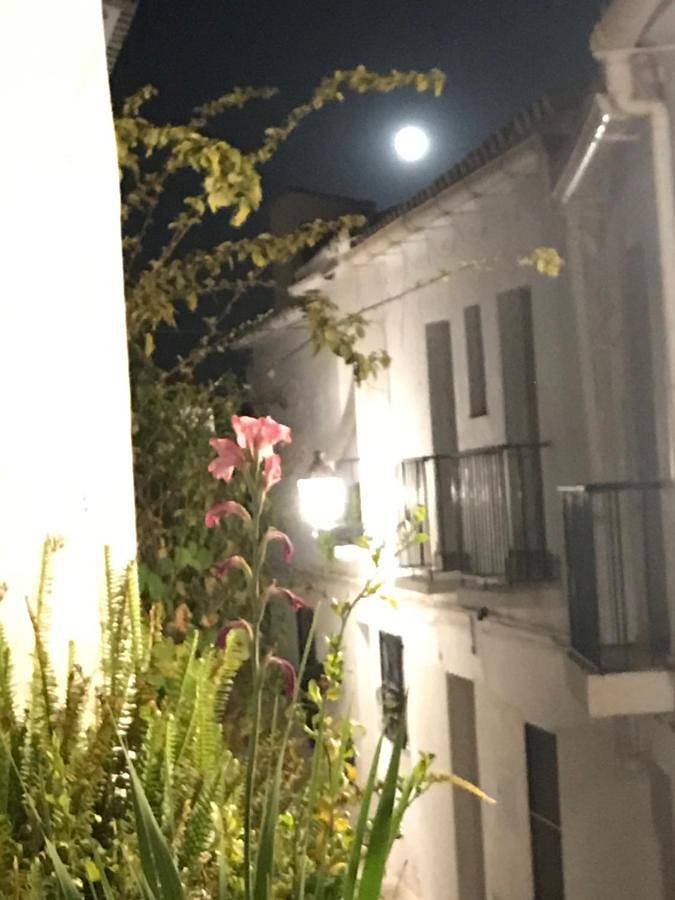 Casa rural para 2 personas, con terraza en Frigiliana - 3